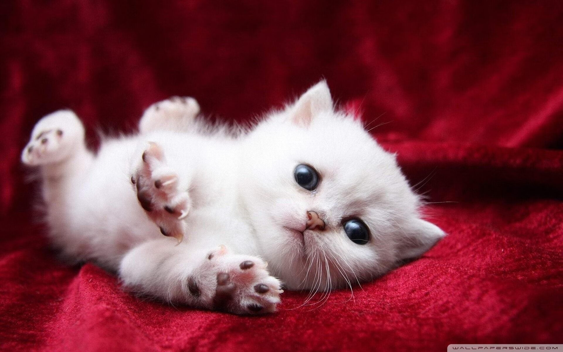 绿色可再生材料在足球器材中的应用不断扩大，绿色再生能源有限公司