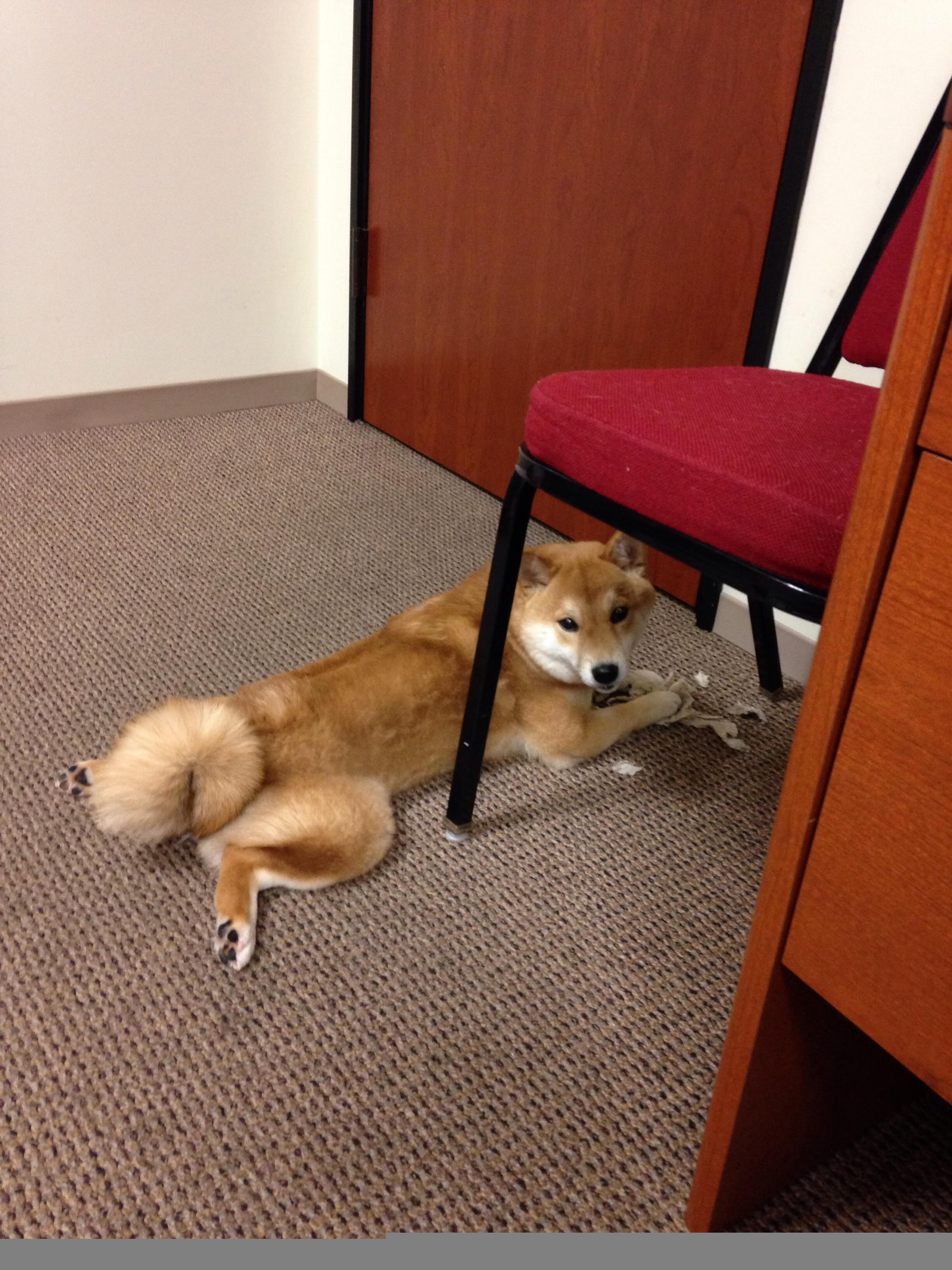 队医团队深夜加班处理伤病保障比赛期间人员健康