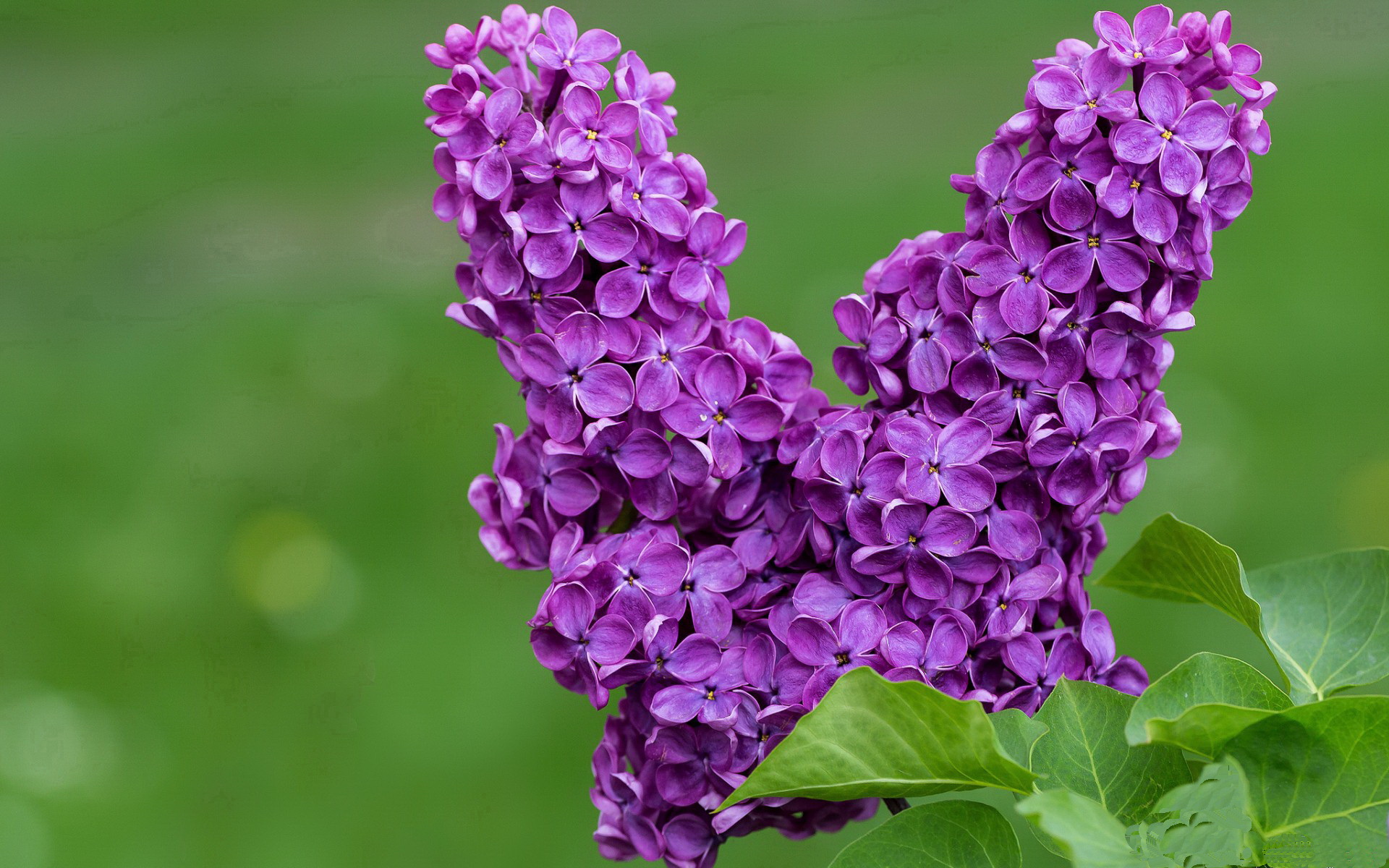 开云中国-青少年足球国际邀请赛成为交流新窗口拓展视野，2020青少年足球邀请赛