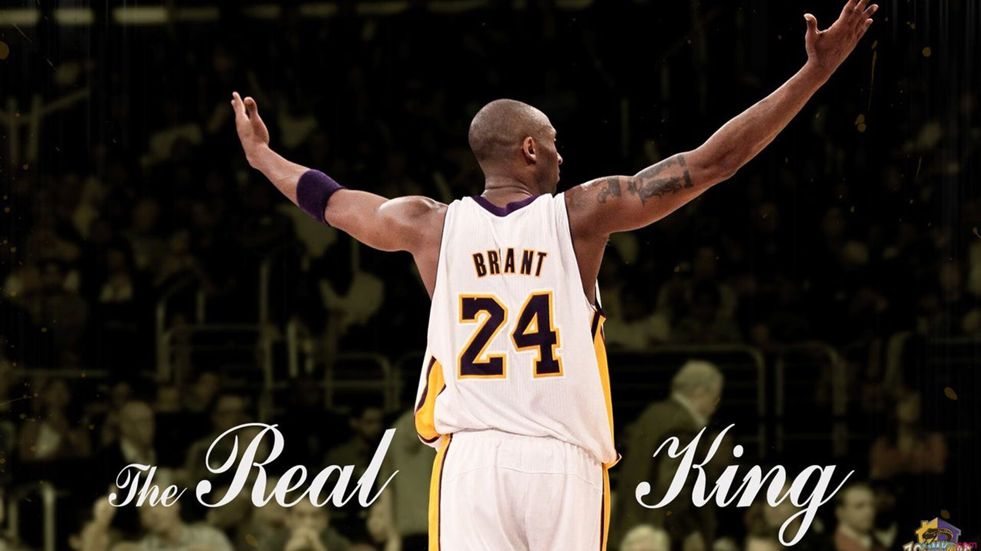 社交平台联合打造电竞社区，凝聚粉丝文化，电竞交友平台